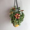 Petunia Colgante - Image 2