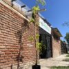 Robinia Friscia - Image 2