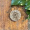 Moneda Jiffy - Image 2