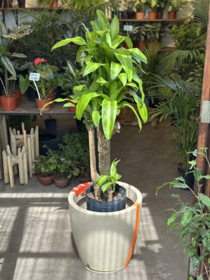 Maceta Rotomoldeada Nº45