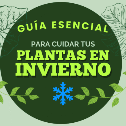 Guía practica sobre el cuidado de plantas en invierno