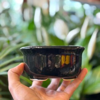 Maceta Bonsai Ovalada N°1