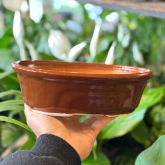 Maceta Bonsai Ovalada N°4 y N°3