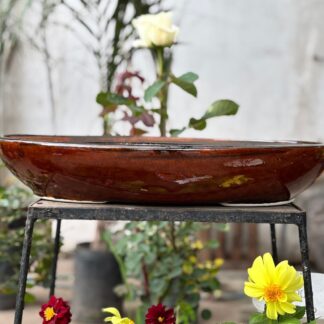 Maceta Bonsai Ovalada N°10