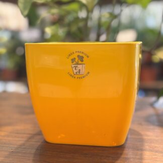 Maceta Cuadrada Premium N16