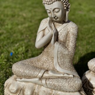 Buda Soñador Grande