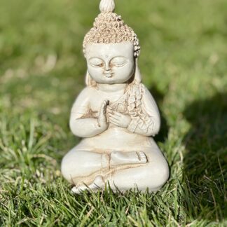 Buda Meditación Mediano