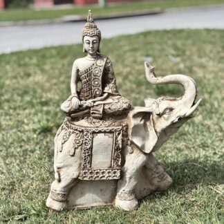 Buda en Elefante Grande