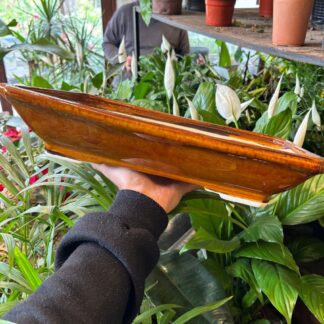 Maceta Bonsai Rectangular N°10