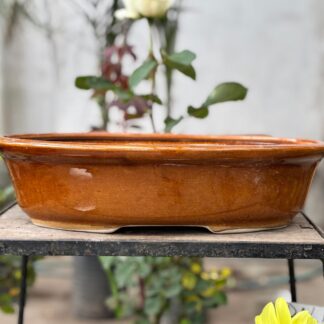 Maceta Bonsai Ovalada N°6